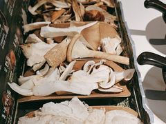 -芸山季·云南山珍菌火锅(南翔印象城MEGA店)