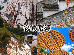 -婺源风景区