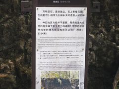 -西岭雪山大飞水景区