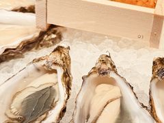 -Oyster Talks 四度蚝法餐厅