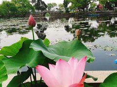 -桃源居(蠡园店)