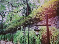 -白沙古井