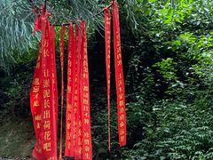 -寂照庵