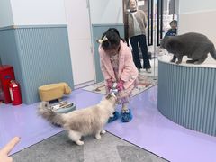 -1013 PET SHOP 宠物商店(近铁城市广场店)