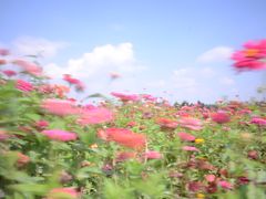 -长春世界雕塑园冰雪艺术天地