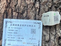 -昆明市金殿名胜区