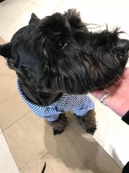 -Hello Lady发型设计