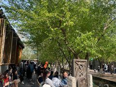 -春风习习