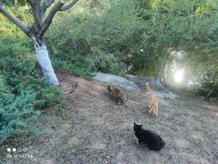 -北京西山国家森林公园