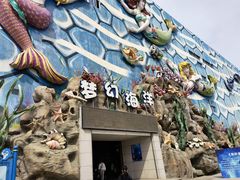 -华夏文旅海洋公园