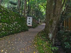 -三千院