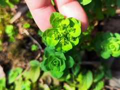 -南京市江宁方山