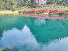 -靖西鹅泉风景区