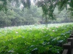 -四川大学(华西校区)