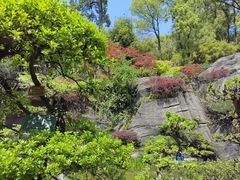 -南山植物园