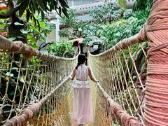 -正佳雨林生态植物园