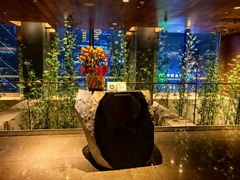 -广州富力君悦大酒店空中花园