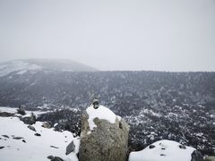 -贡嘎雪山