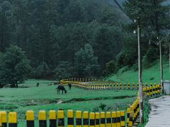 -大浪坝森林公园