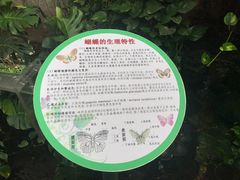 -上海大自然野生昆虫馆(东方明珠·爬宠昆虫探索中心)