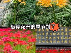 -西安大兴善寺