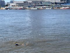 -白天鹅宾馆·流浮阁咖啡厅