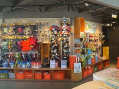 -爪吧宠物乐园 (温榆河示范区店)