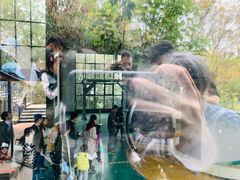 -紫金山索道-售票处