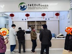 -中国农业大学动物医院