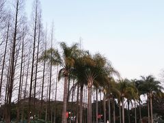 -江心屿景区