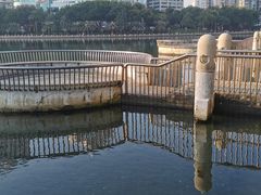 -白鹭洲公园