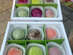 -好一朵茉莉花(老门东店)
