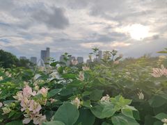-厦门园林博览苑