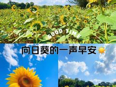 -月亮湾湿地公园