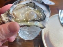 -Osteria Garden 生蚝花园餐厅(原进贤路店)