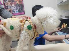-全心全意动物诊疗中心医院(北苑店)