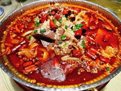 -新侨小馆(东直门北小街店)