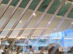 -椰客·海南椰子鸡(新塘永旺梦乐城店)