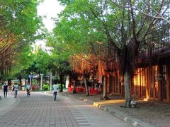 -白沙门生态公园
