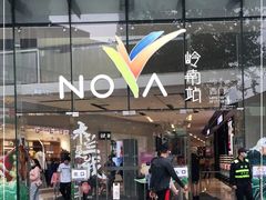 -岭南站NOVA