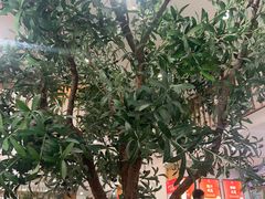 -东升灌浆包(辛庄街总店)