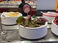 -龍歌自助小火锅(李沧顺和汇店)