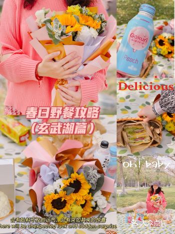 春日野餐赏花攻略（玄武湖篇）