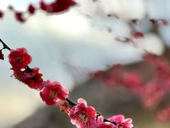 -四川北路(地铁站)