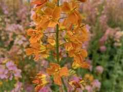 -中国天府农业博览园