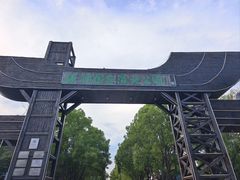 -溱湖国家湿地公园