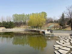 -大望京公园
