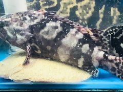 -三旗百汇商品城