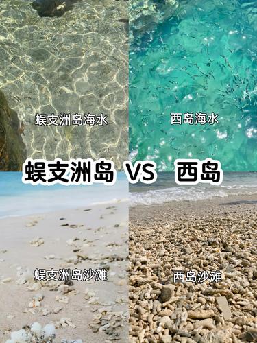 表格清晰明了：西岛or蜈支洲岛❓