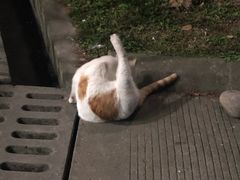 -吴佳拌米粉(川大店)